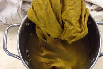 Science of Natural Dyes; intensive