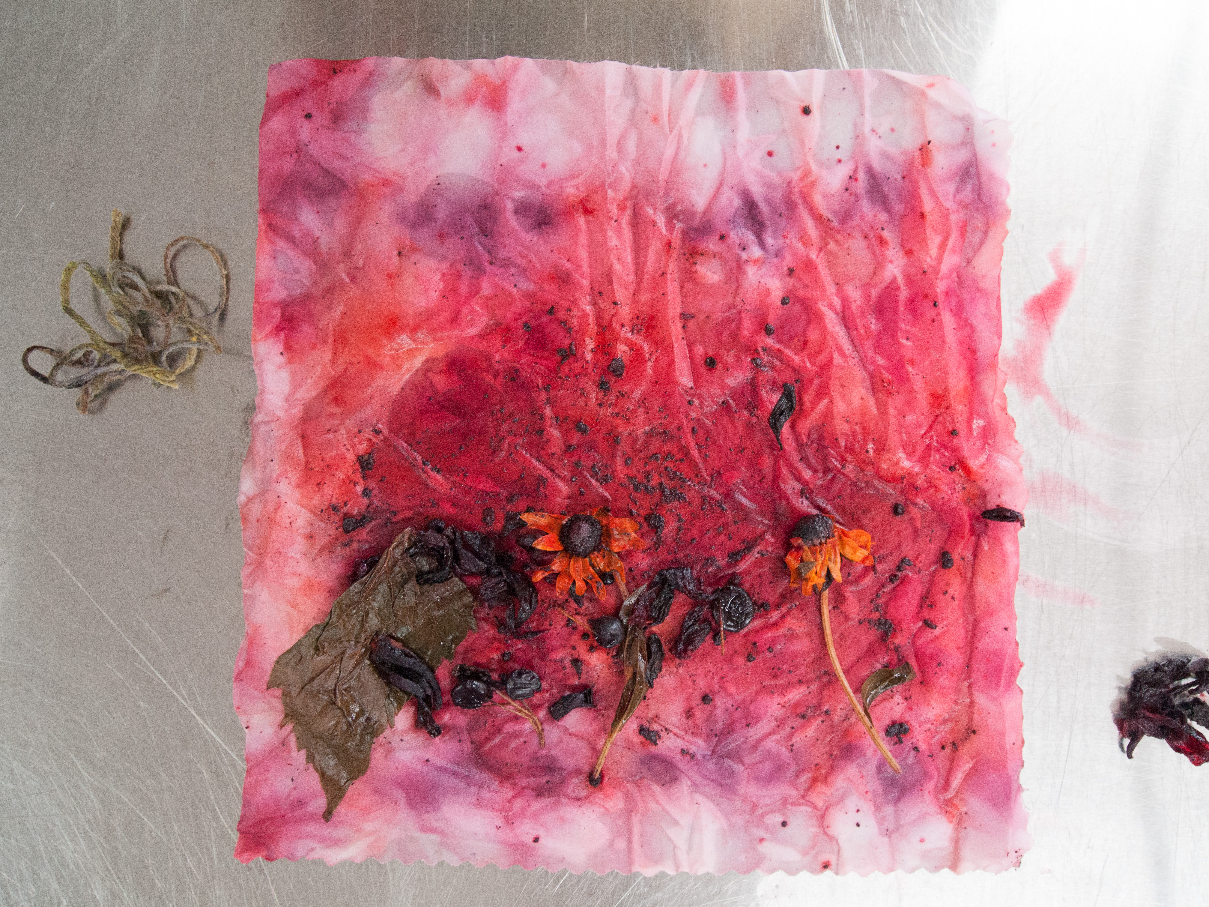 Eco Print + Bundle Dyeing