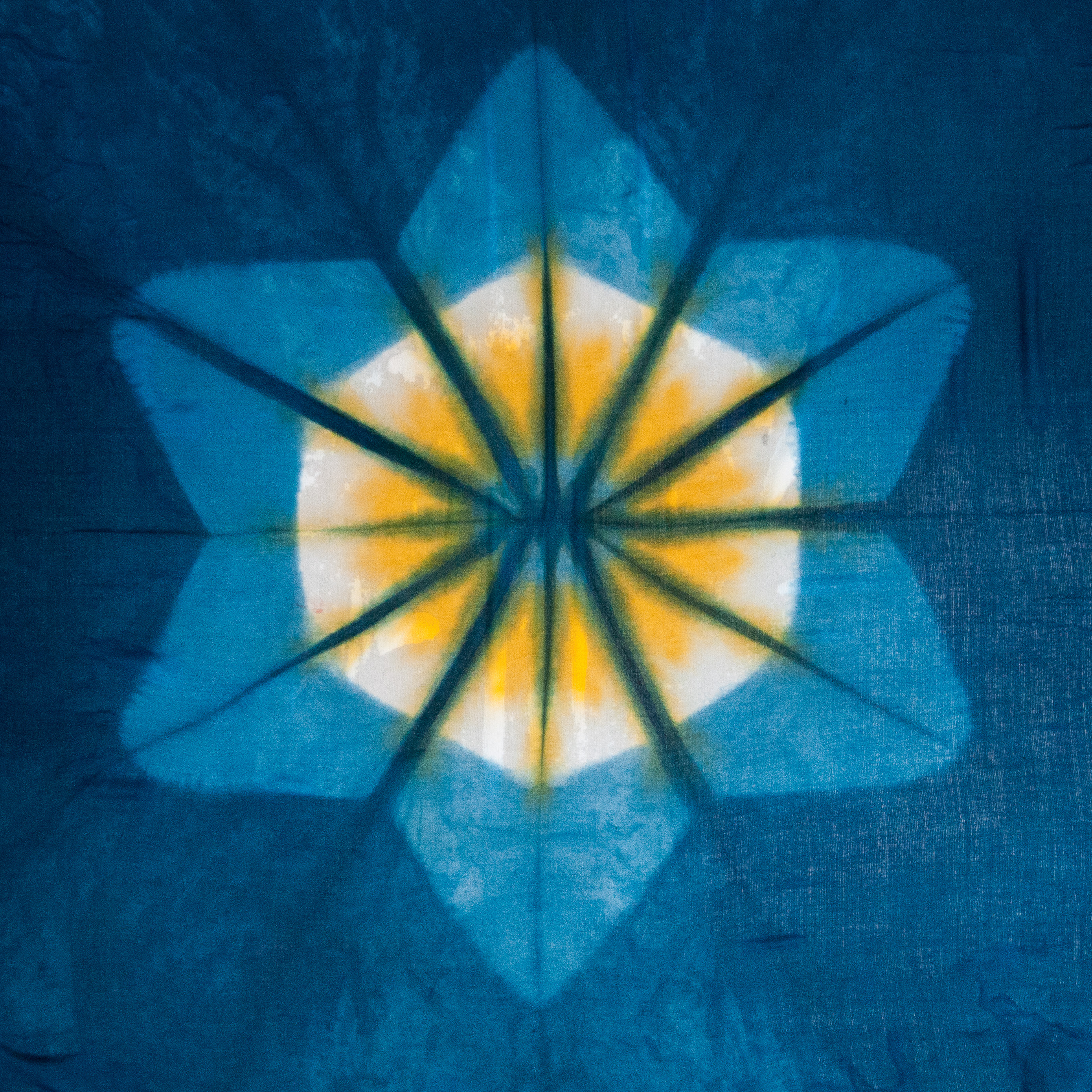 Adv. Shibori with Indigo and Color