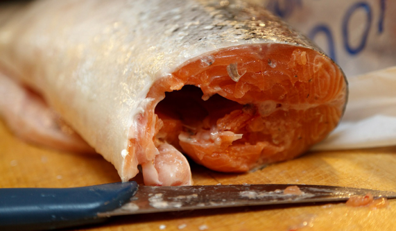 Fish Butchery ~Ask the Fish Monger~