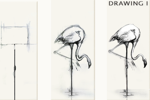 1SESSION BEGINNERS DRAWING WORKSHOP HOW TO DRAW A BIRD ONLINE CLASS   Pay What You Wish  The Art Studio NY