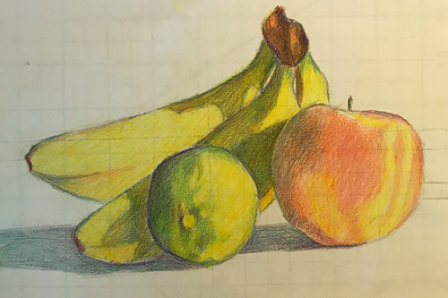 Beginner Drawing + Illustration Techniques for Adults (Semester)