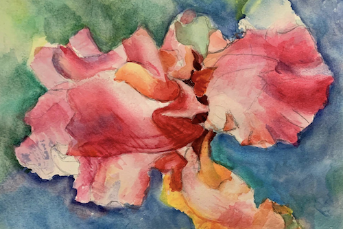Adult: Botanical Watercolor Painting