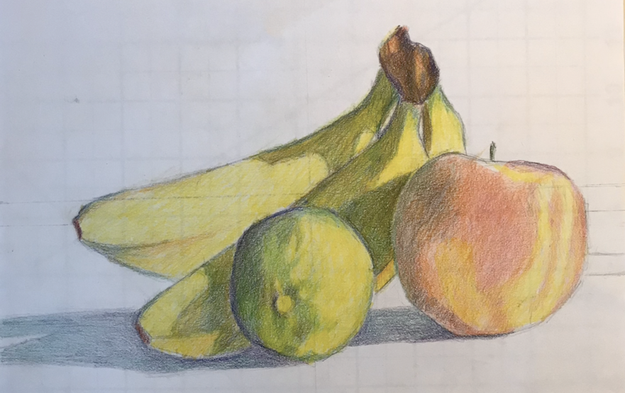 Adult: Beginner Drawing Technique