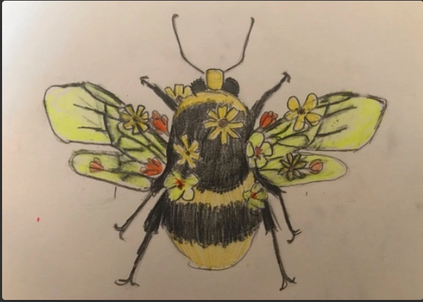 Beginner Drawing + Illustration for Teens (Ages 9-13) (Drop-In)