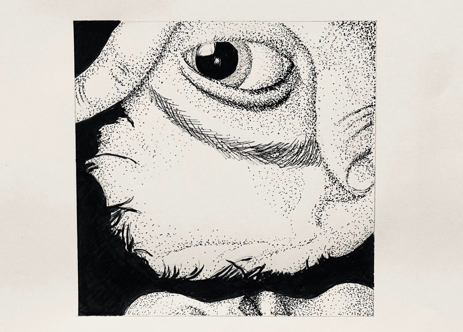 Adult: Graphic Illustration for Design