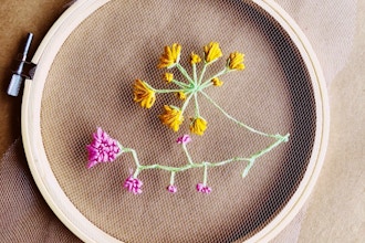 Embroidery on Tulle