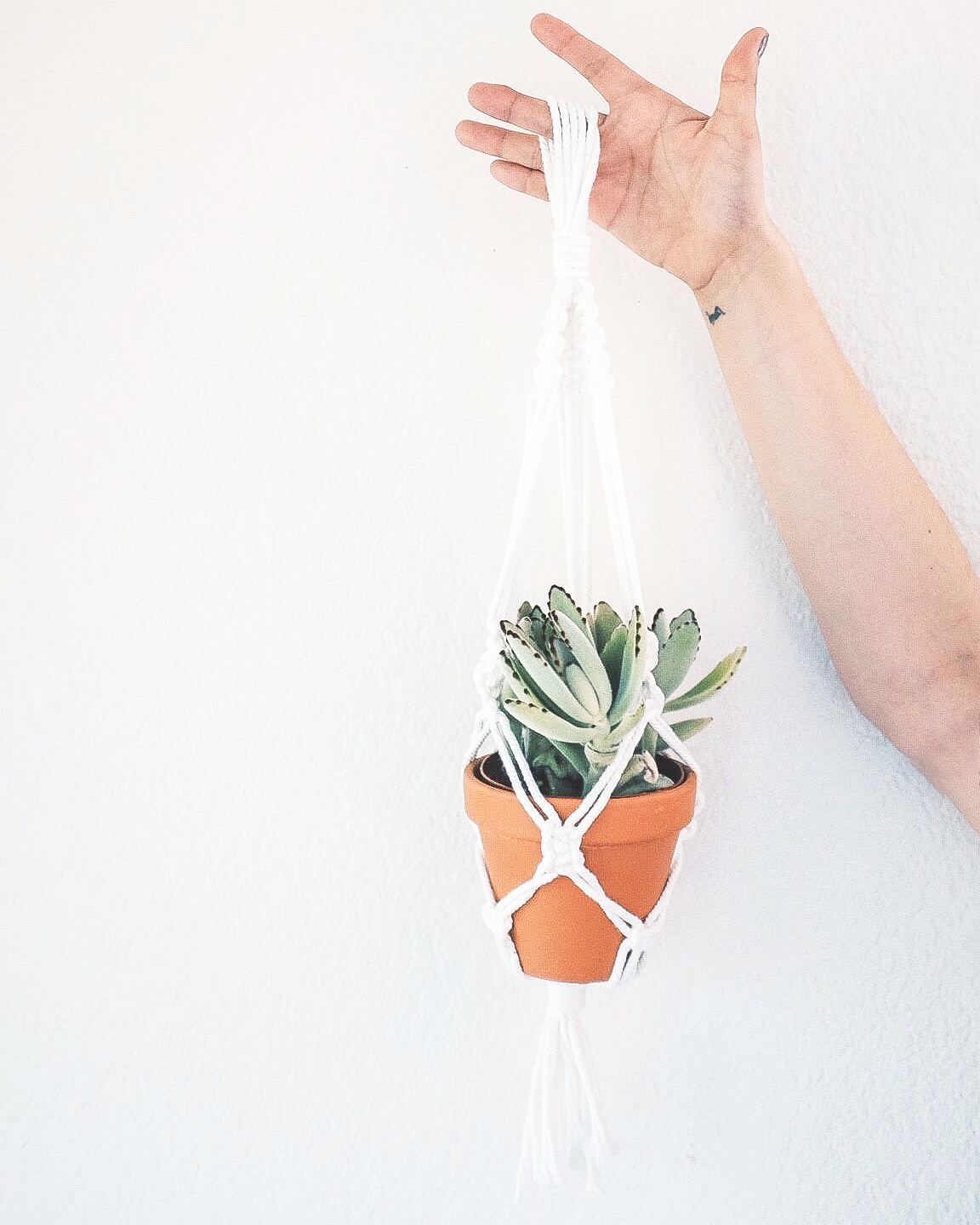 Makers Workshop: Macrame Plant Holders