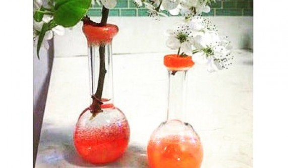 Filled with Fire: Bottle Vessel Vase