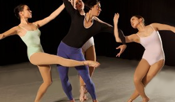 Advanced/Professional Adult Ballet