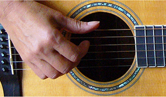 Adult Beginner Guitar