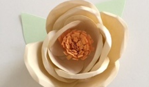 Paper Flower Crafting