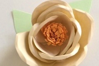 Paper Flower Crafting