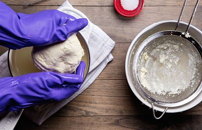 Fresh Mozzarella and Ricotta Cheese