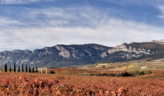 Legends of Rioja