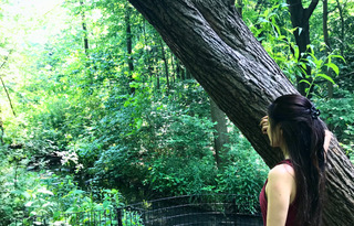 The Art of Nature - Central Park