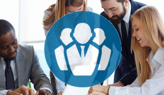 Certified Business Analysis Professional (CBAP®)