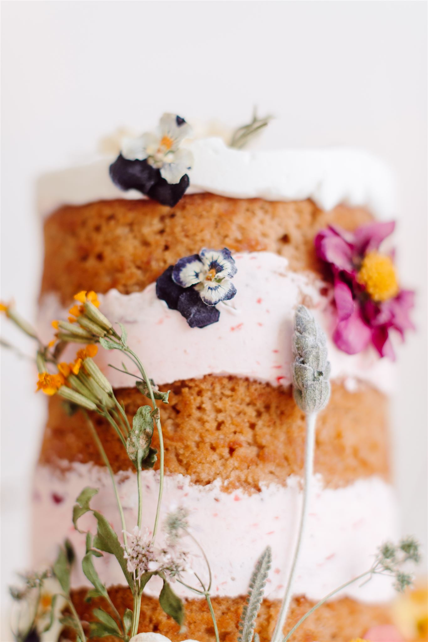 Vegan & Gluten-free Cakes 101