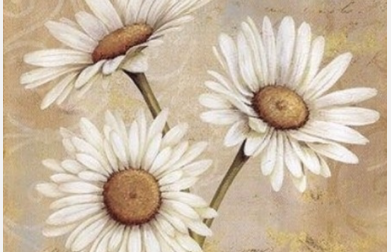 Picnic'n Paint in Central Park - Daisy