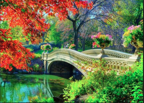 Picnic'N Paint in Central Park - Saturday