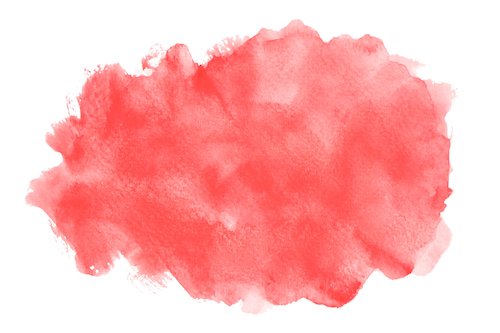 Watercolor Ink & Expressionistic Florals