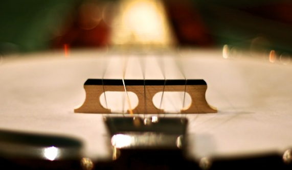 Ukulele III