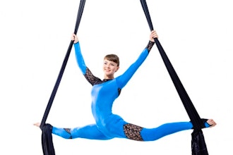 Aerial Silks 103