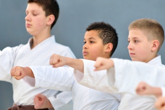 Karate: Beginner Children (Ages 8-14)
