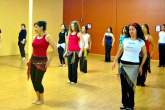 Classical Belly Dance (Beginner)