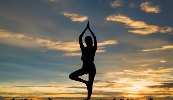 Cosmic Connections Life Skills Schools Nashville Tn Coursehorse