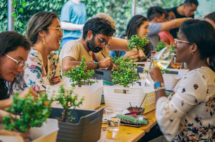 Bonsai Bar