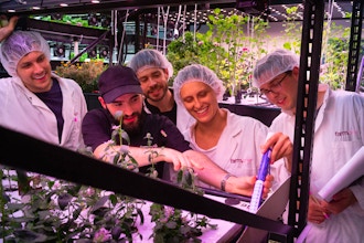 NYC In-Person: Hydroponic Farm Tour & Tasting