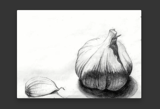 Drawing for Total Beginners