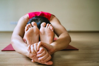 Yoga Orthopedic Module I: The Spine