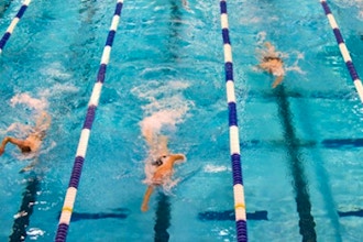 Adult Swimming: Beginner 2