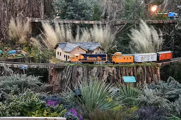 Holiday Special At U.S. Botanic Gardens
