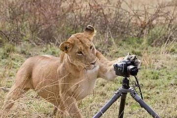 Photography As A Second Career