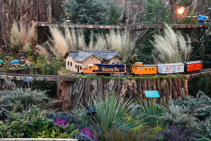 Holiday Special At U.S. Botanic Gardens!