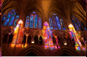 Winter Solstice Safari: Washington National Cathedral