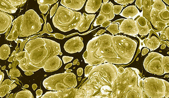 Florentine Paper Marbling