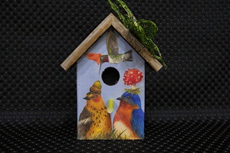 Painted Wooden Birdhouse