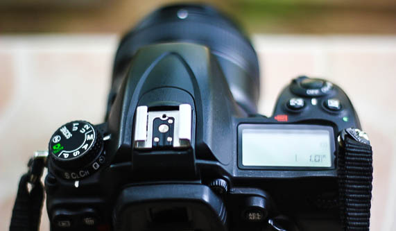 Light Portrait Photography