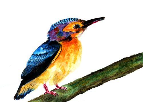 Bird Painting for the Watercolorist