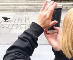 Intro to Smartphone Photography