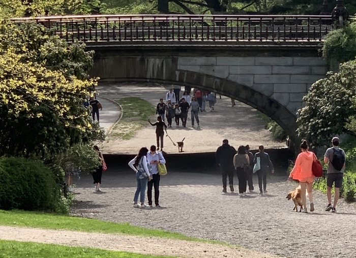 Walk About: Lower Central Park