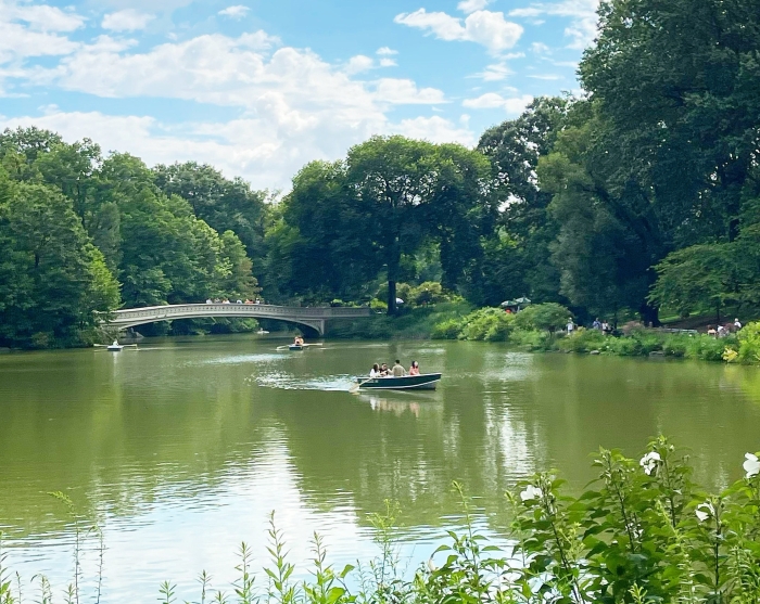 Canvas To Capture: Enhancing Photography Skills with Master Painters