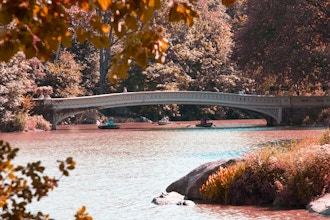 Walkabout - Reflections of Fall, Central Park, Bow Bridge & Bethesda Fountain