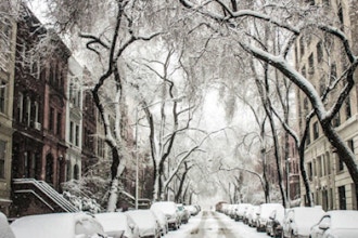 Intuitive Photography Walk-About: Winter in Brownstone