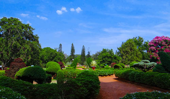 Intuitive Photography: Brooklyn Botanical Garden