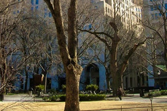 Intuitive Photography: Madison Square Park